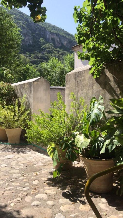 Casa Rural El Vihuelo 埃尔博斯克 外观 照片