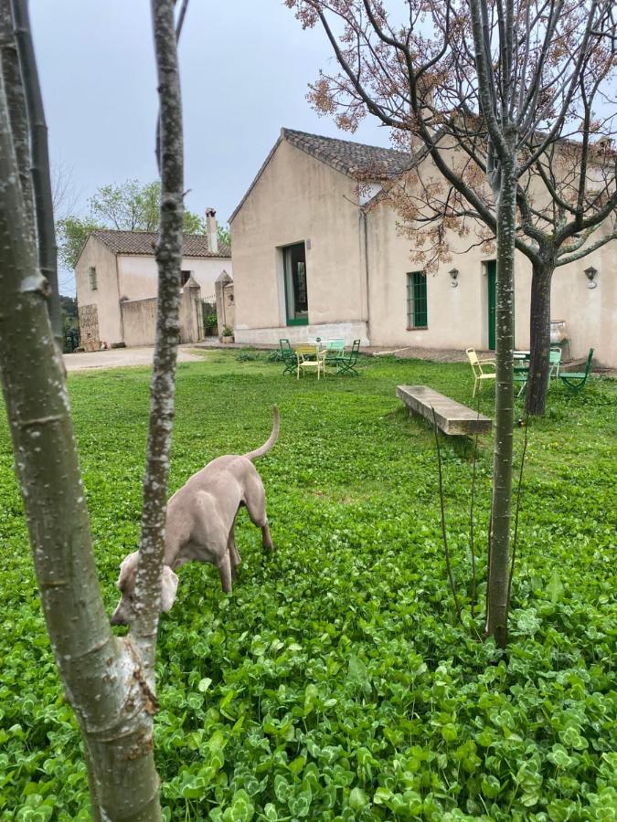 Casa Rural El Vihuelo 埃尔博斯克 外观 照片
