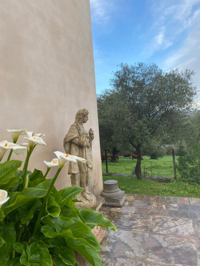 Casa Rural El Vihuelo 埃尔博斯克 外观 照片