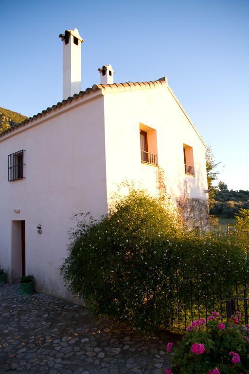 Casa Rural El Vihuelo 埃尔博斯克 外观 照片
