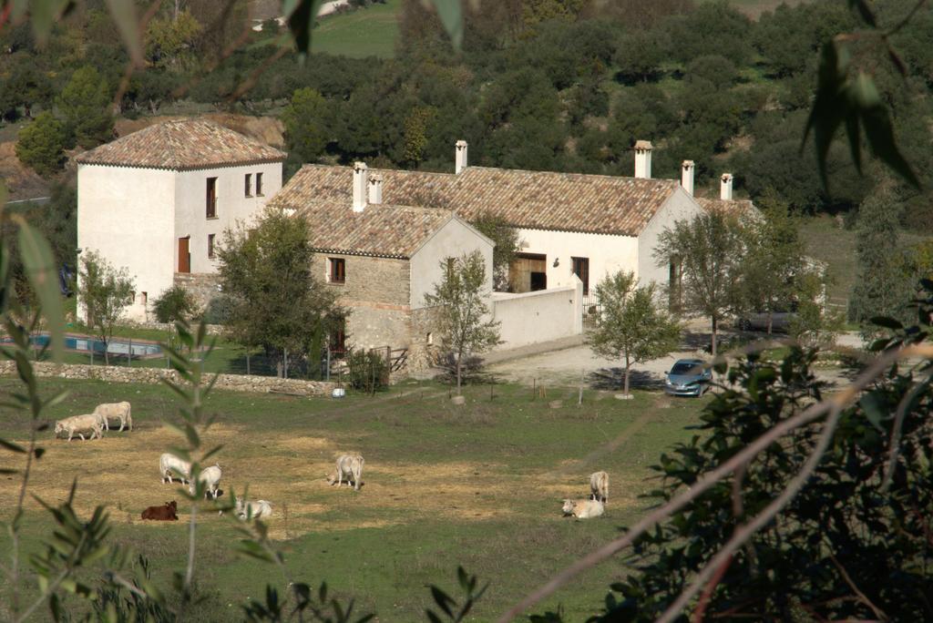 Casa Rural El Vihuelo 埃尔博斯克 外观 照片